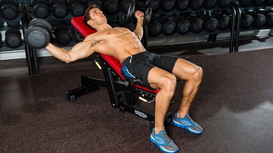 The Most Effective Workouts for Building Muscle