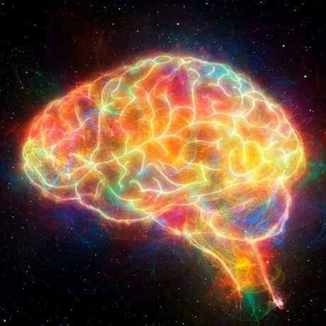 Quantumind Reviews: Does It Really Boost Brain Health?