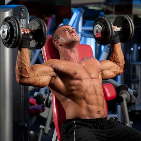 Arnold Press vs Shoulder Press: Which Is Best For You?