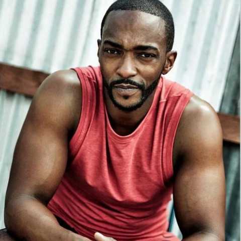 What Is The Anthony Mackie Workout & Diet Plan?