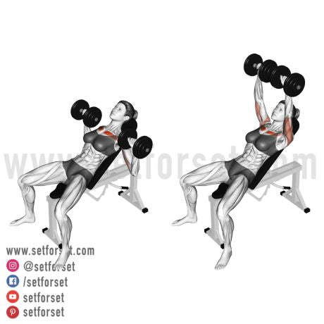 Dumbbell Workouts: 25 Best Exercises & Routines for Muscle Gain