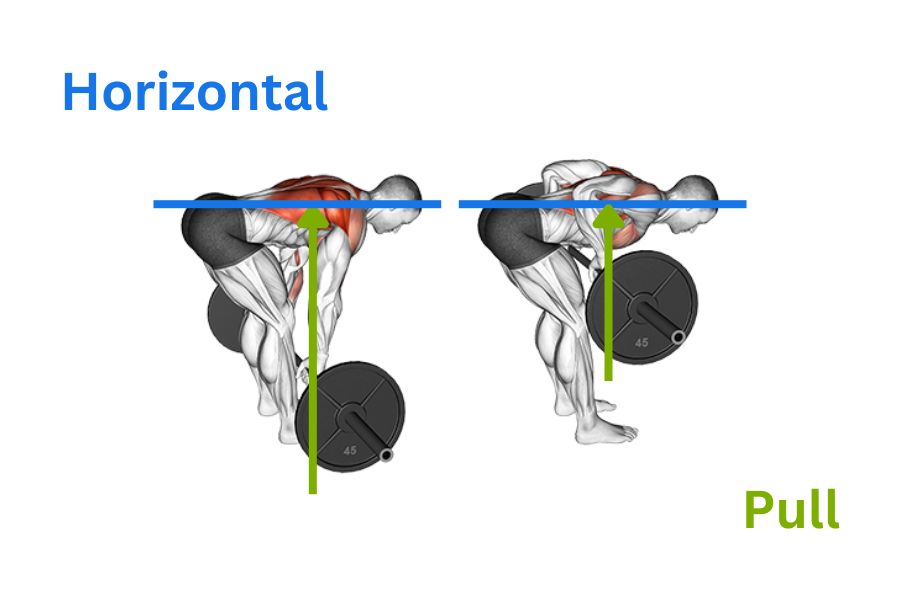 5 Key Horizontal Pull Exercises for Your Workout Routine