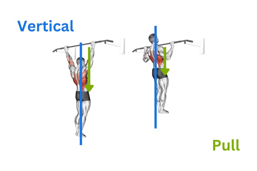 5 Vertical Pull Exercises Every Workout Routine Needs