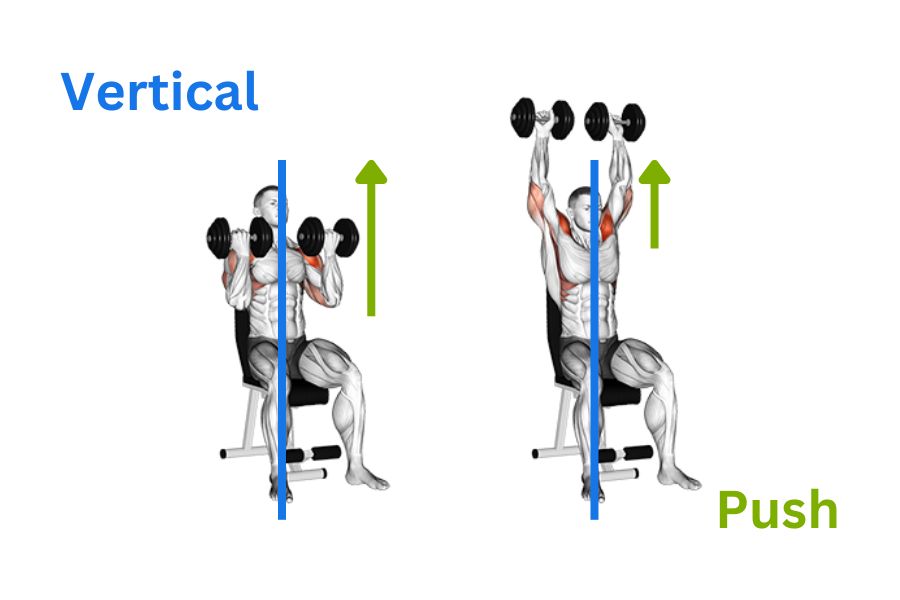 7 Key Vertical Push Exercises for Your Workout Routine