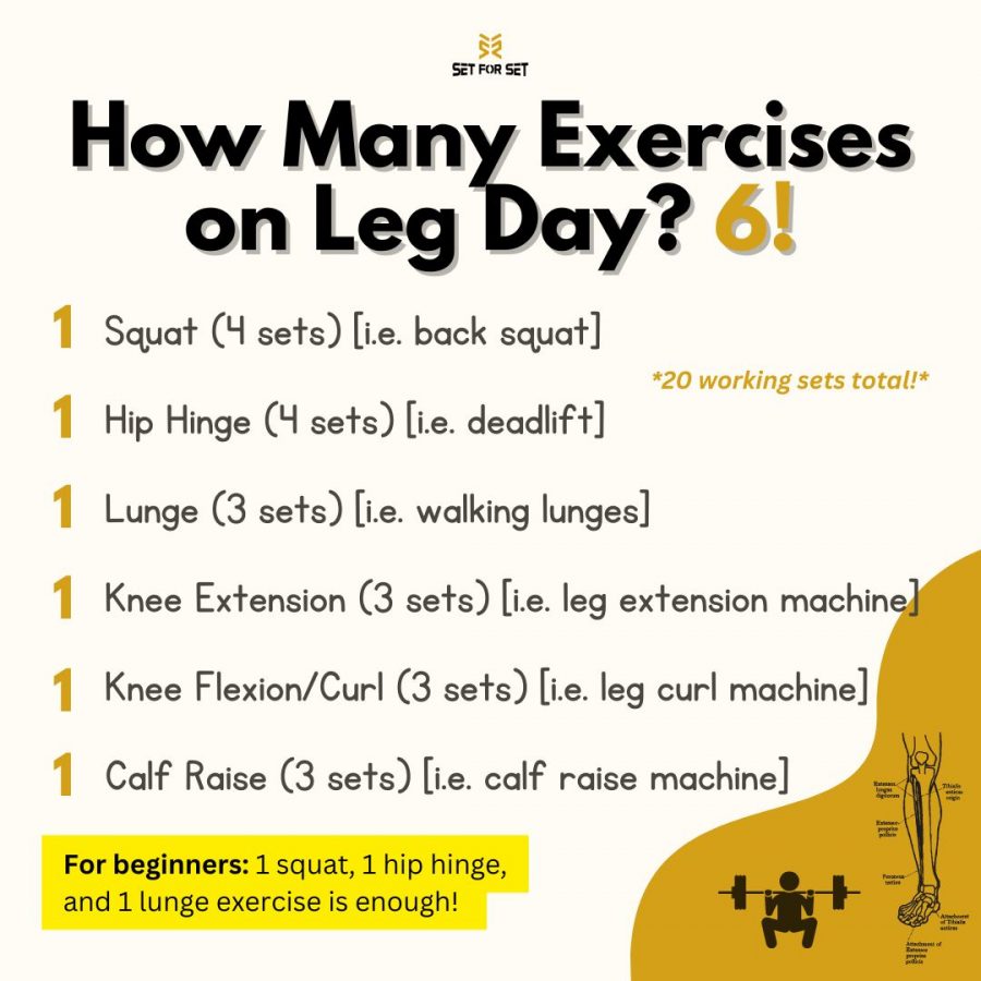 Trainer’s Take: How Many Exercises on Leg Day?