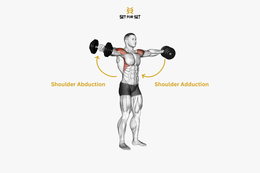 Top 3 Shoulder Abduction and Adduction Exercises