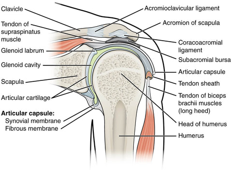 7 Best Shoulder Extension Exercises To Improve Mobility