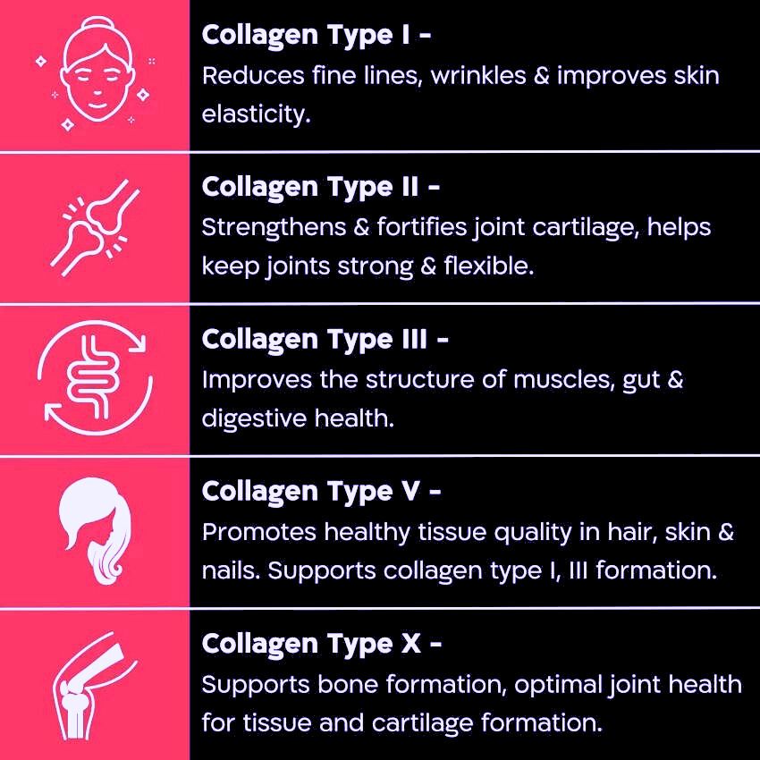 Collagen Protein Explained: How Important Is It for Fitness?