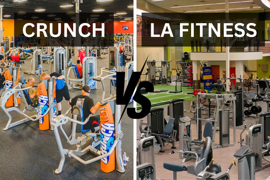 Crunch vs LA Fitness Gyms: Which You Should Go With?