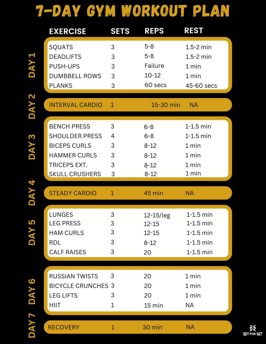 7 Day Gym Workout Plan To Maximize Gains