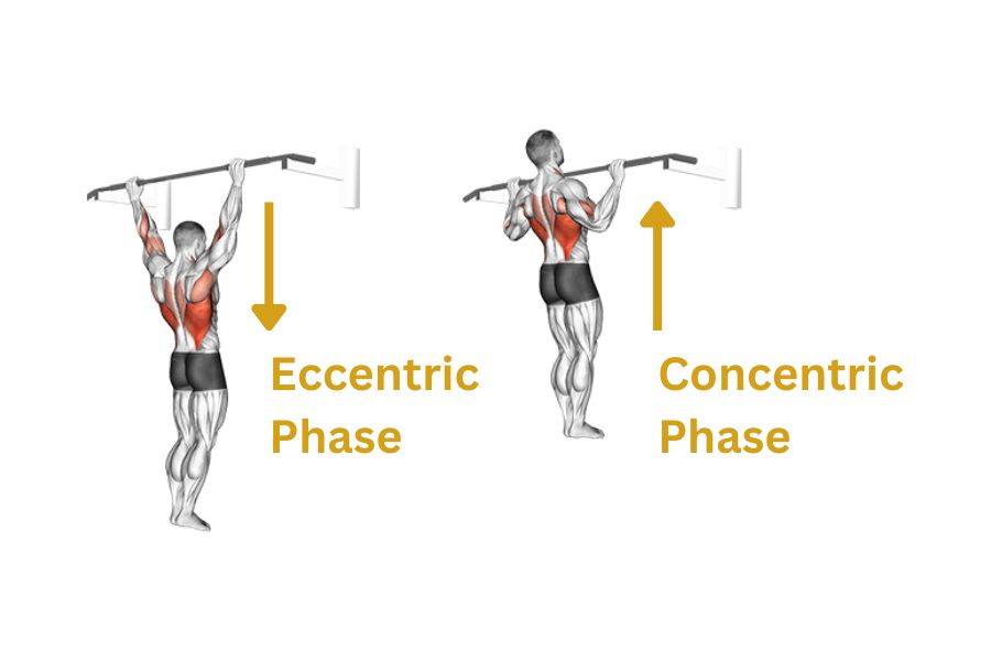 Range of Motion (ROM)