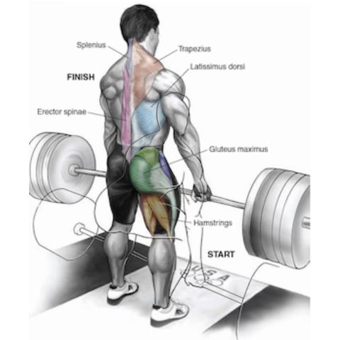 How Many Reps on Deadlifts? Find the Perfect Range